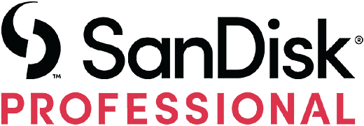 SanDisk Professional